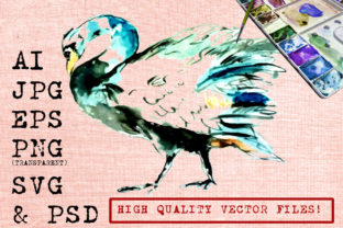 Angry Swan Watercolor Illustrations Review