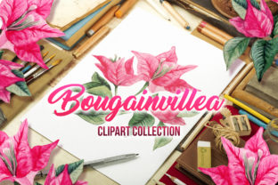 Bougainvillea Floral Clipart & Illustrations