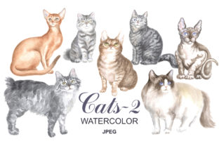 Cats Watercolor Painting: Brand Illustrations
