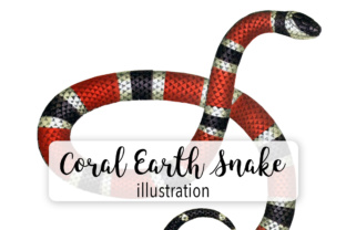 Coral Earth Snake: Vibrant Illustrations