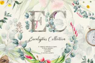 Eucalyptus Collection Letter Illustrations
