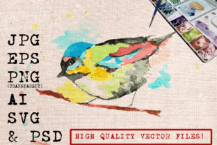 Little Bird Watercolor Illustrations Review