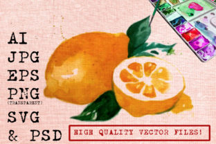 Orange Watercolor Illustrations Review