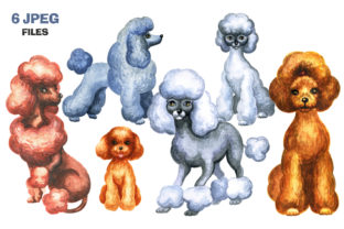 Poodles Watercolor Set: Illustrations for Sellers
