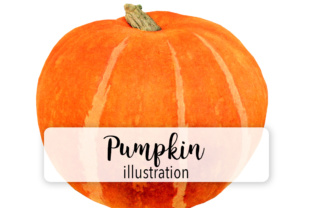 Pumpkin One: Seasonal Illustrations for Brands