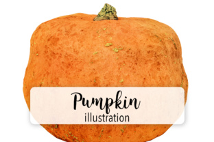 Pumpkin Two: A Real-World Embroidery Review