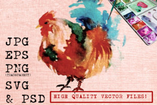 Red Rooster Watercolor Illustrations Review