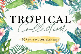 Tropical Collection Illustrations for Branding