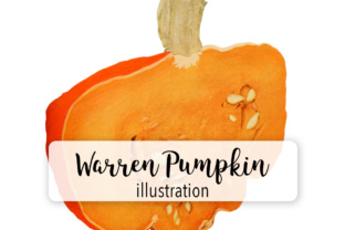Warren Pumpkin Illustrations for Branding