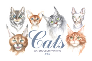 Watercolor Cats: Cute Illustrations for Sellers