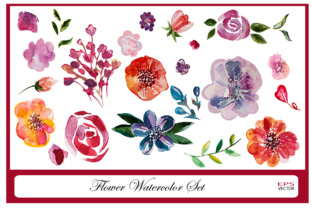 Watercolor Flowers Set: Illustrations Review