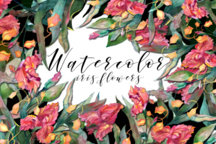Watercolor Iris Flowers Set & Illustrations