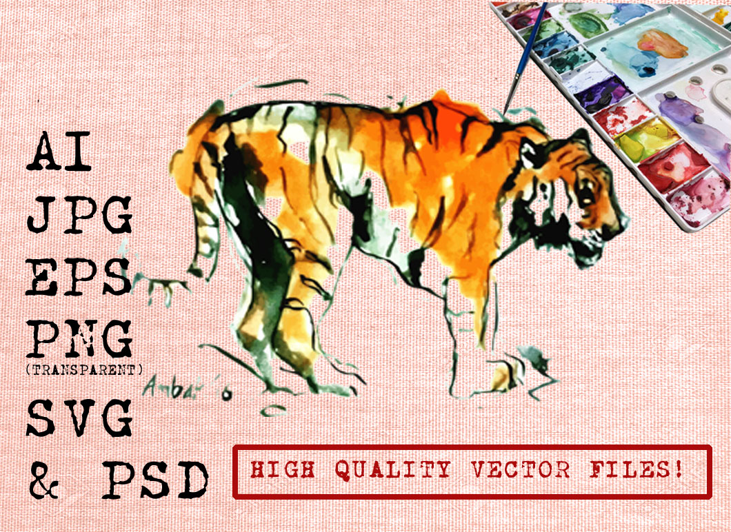 Watercolor Sumatran Tigers & Illustrations