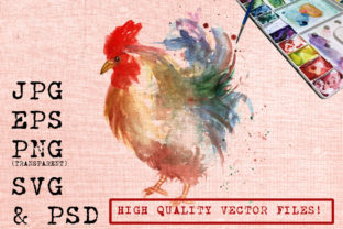 White Rooster Watercolor: Editorial Illustrations