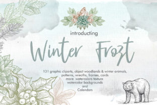 Winter Frost Illustrations for Design