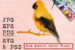 Yellow Bird Watercolor Illustrations Review