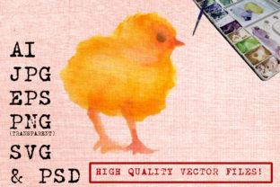Yellow Chick Watercolor Illustrations Review